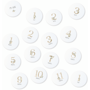 Milestone Cards - Floral