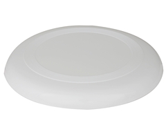 Frisbee